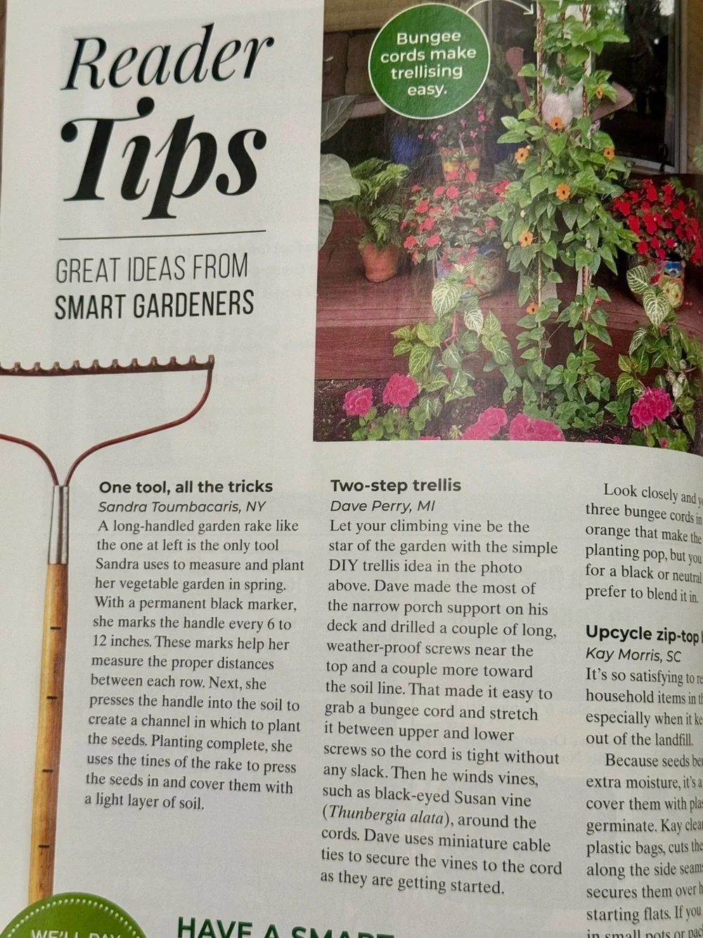 Garden Gate Magazine January/February 2025 Gardening Tips & Best New Plants